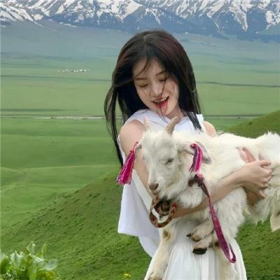 舞法天女之绚彩归来